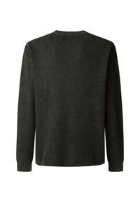 Grüner gerippter Pullover mit langen Ärmeln, Rundhalsausschnitt und strukturierter Stoffoberfläche. Verfügt über einen geraden Saum und eng anliegende Bündchen. Rückansicht.