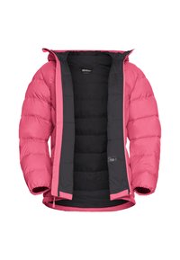 Rosa Daunenjacke mit schwarzer Innenauskleidung, gepolsterten Abschnitten, Kapuze und Reißverschluss; strukturierter Stoff mit glatter Oberfläche.