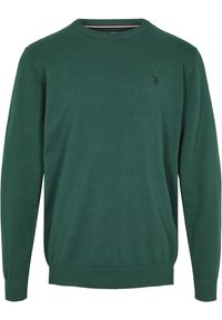 U.S. Polo Assn. Maglione - dark green