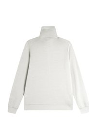 Sweatshirt gris clair avec un col montant, des manches longues et une coupe décontractée. Texture lisse sans motifs ni accents visibles. Vue arrière.