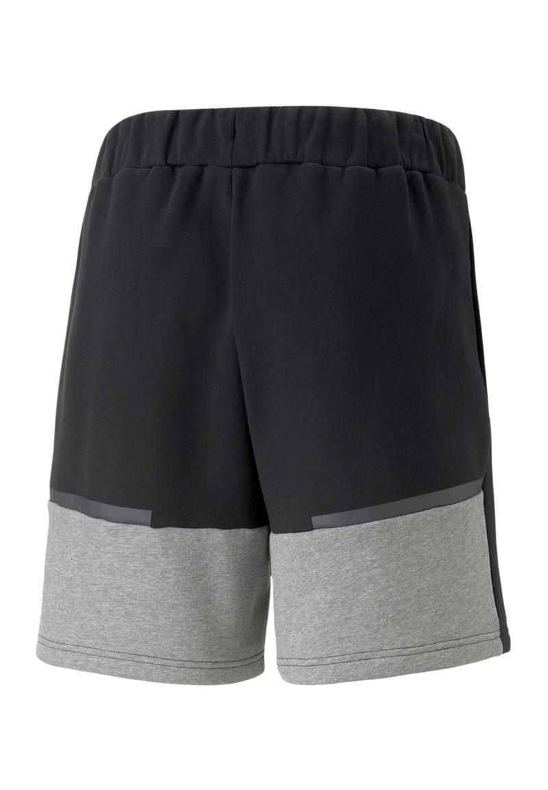 Puma FUSSBALL - TEAMSPORT - TEAMCUP CASUALS - Sportovní kraťasy - schwarz