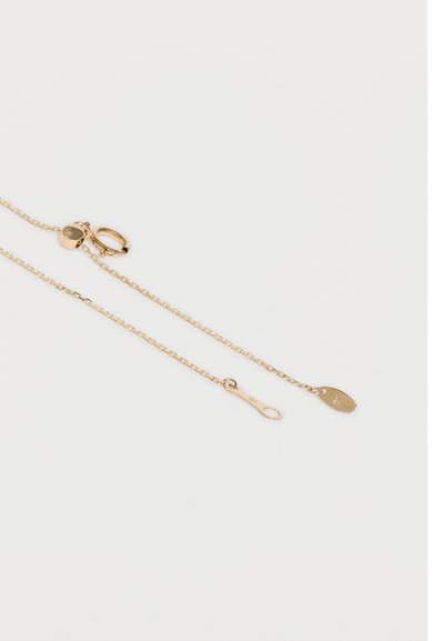 Delicado collar de cadena de oro con un pequeño cierre y una etiqueta ovalada grabada con un símbolo, dispuesto sobre un fondo blanco.