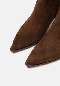 Dolce Vita AUGGIE - Bottes - dark brown