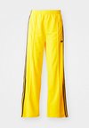 FIREBIRD - Donji dijelovi trenirke - yellow/black