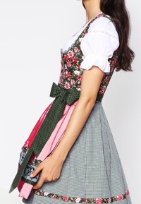 Dirndl jurk met een bloemenpatroon op het lijfje, witte puffmouwen, een roze en groene schort, en een geruite rok met decoratieve rand.