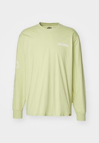 Dickies TIMBERVILLE TEE - Hosszú ujjú felső - pale green