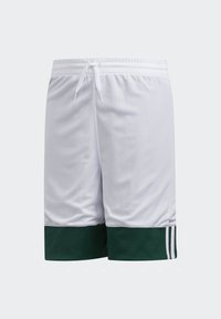Pantalones cortos deportivos blancos con un borde de malla verde en la parte inferior. Presenta una cinturilla elástica con cuerdas ajustables y tres rayas blancas.
