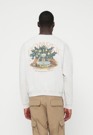 FOUNTAIN LIGHT CREWNECK - Bluză de molton - grey mélange