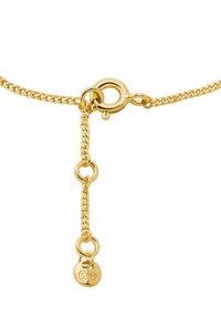 Collana a catena placcata in oro con gancio a moschettone rotondo, caratterizzata da una superficie liscia, un design a catena collegata e due ciondoli all'estremità.