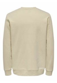 Only & Sons ONSTODD REG PHOTOPRINT CREW NECK - Felpa - smoke gray