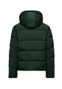 Donkergroene pufferjack met een capuchon, voorzien van een gequiltde textuur en horizontale stiksels over de rug en mouwen.