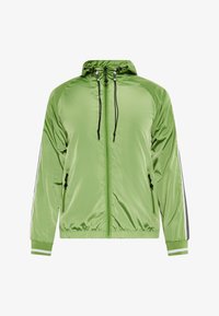 Seleccionado, hellgrün