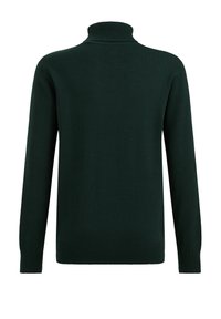 Temno zelena pulover s turtleneck ovratnikom, izdelan iz mehkega pletenega materiala, z dolgimi rokavi, rebrastim ovratnikom in manšetami ter gladko, enotno teksturo.