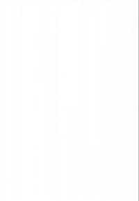 Een dicht bos met hoge, rechte bomen en zonlicht dat door het groene gebladerte filtert, wat een serene natuurlijke scène creëert.