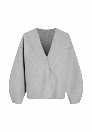 Pelēks iesaiņojuma džemperis ar dziļu V-veida izgriezumu, pārmērīgi lielām balona piedurknēm un fakturētu audumu. Raksturots ar šuvju detaļām gar malām.