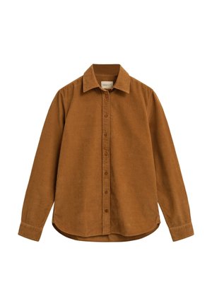 Camicia marrone con bottoni, realizzata in un tessuto morbido, con colletto, maniche lunghe e orlo curvo. Presenta una trama sottile.