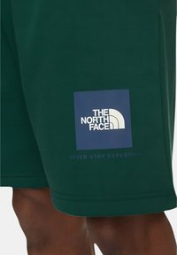 Pantalones cortos verdes de tela suave con un parche cuadrado azul que lleva el logo de "THE NORTH FACE" y el texto "NEVER STOP EXPLORING" en blanco.