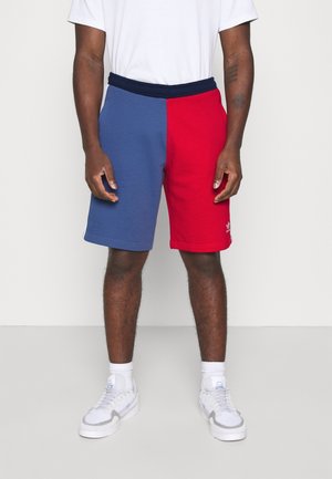 Mężczyzna ubrany w krótkie spodenki w kolorze niebiesko-czerwonym, białe skarpetki za kostkę, białe trampki oraz gładką białą koszulkę, stojący na tle białego tła.