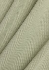 Ei valittu, garter snake