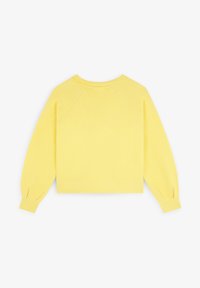 Maglione giallo a maniche lunghe, con polsini e orlo a coste, realizzato in morbido tessuto a maglia. Presenta un collo rotondo e un design a manica raglan.
