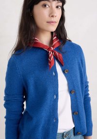 Blå kardigan i mjukt stickat material med rund halsringning, knappstängning och ribbade ärmslut. Bärs över en vit topp med en röd och vit mönstrad scarf.