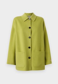 PREDAZZO - Halflange jas - green