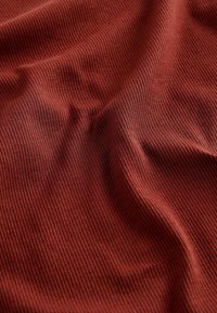 Next HALF SLEEVE HIGH NECK TSTANDARD - Tricou basic - brown