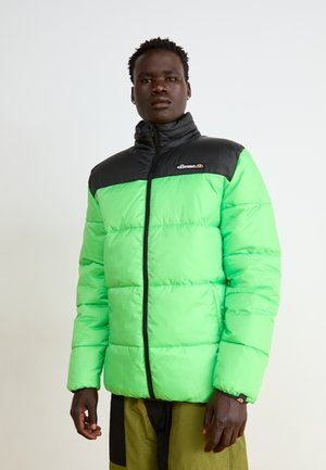 VILAROSA - Winterjacke - green
