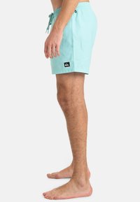 Shorts de bain bleu clair en matériau à séchage rapide. Dispose d'une taille élastique avec cordon de serrage et d'un patch logo noir sur l'ourlet.