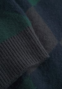 DOUBLE A BY W.W. JAN CREW NECK - Strickpullover - green gables check