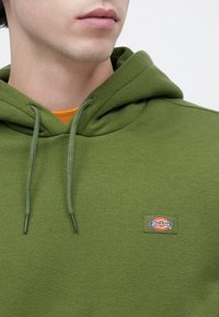 Πράσινο φούτερ με κουκούλα από απαλό βαμβακερό ύφασμα. Διαθέτει κουκούλα με κορδόνι, ριμπ μανσέτες και ταμπέλα με έγχρωμο λογότυπο στο στήθος.