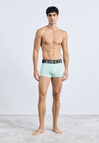Mėtų žalios medvilninės bokso šortai su juodu Calvin Klein juosmeniu, trumpomis kojomis ir lygia tekstūra. Modelis stovi basomis.