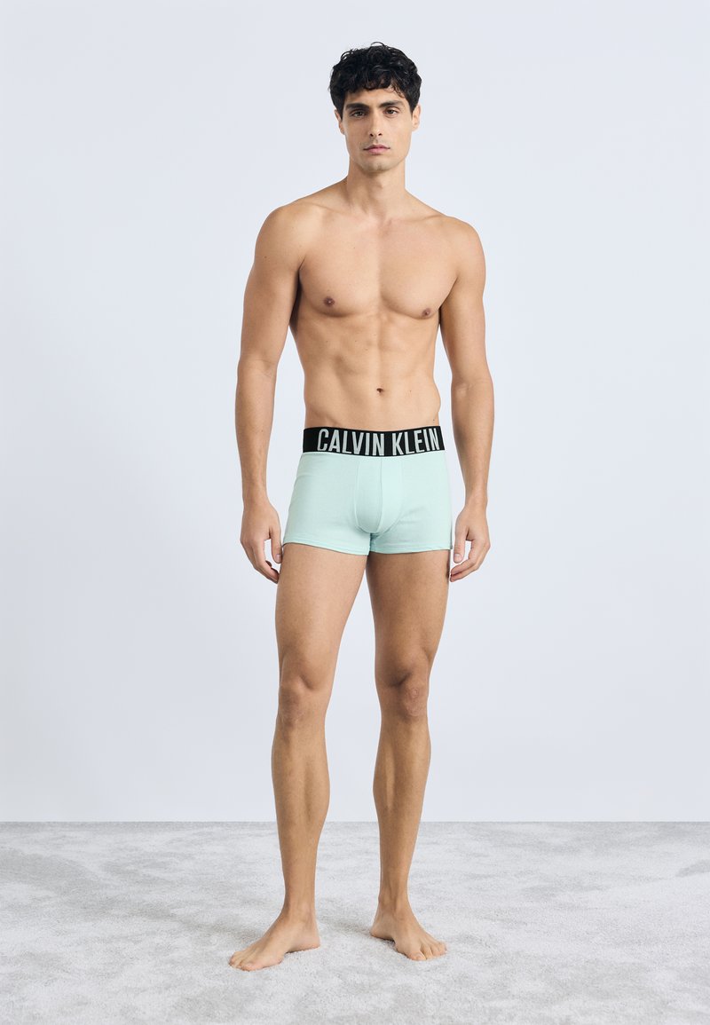Mėtų žalios medvilninės bokso šortai su juodu Calvin Klein juosmeniu, trumpomis kojomis ir lygia tekstūra. Modelis stovi basomis.