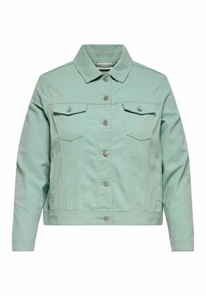 Šviesiai žalia džinsinė striukė su mygtukais priekyje, dviem krūtinės kišenėmis su atvartais, ilgomis rankovėmis ir klasikine apykakle, parodyta baltoje fone.