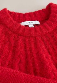 Roter gestrickter Pullover mit einem gerippten Ausschnitt und strukturiertem Muster. Etikett lautet "NEXT." Weiches, fusseliges Garn mit einem warmen Aussehen.