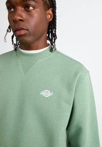 Groene sweatshirt met een ribbelkraag en een klein wit "Dickies" logo. Het materiaal lijkt zacht en textuur te hebben, met een ontwerp in relaxed fit.