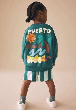Enfant aux cheveux tressés, debout de dos, portant un sweat vert avec un motif de l’île de Porto Rico et un short rayé vert et blanc.