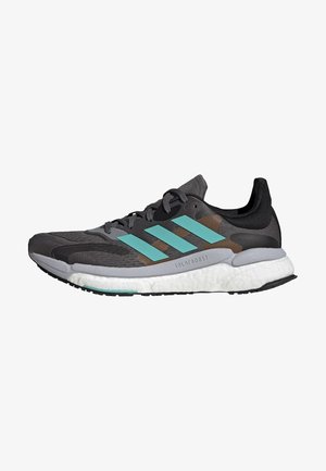 SOLAR BOOST 4 NEUTRAL RUNNING SHOES - Neutral running shoes - grey