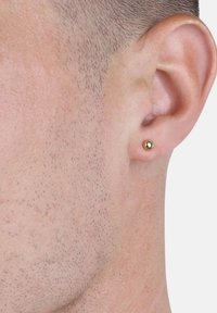 Guldstiftörhänge i rund form, med en slät och glansig yta. Bärs i loben av en kortklippt frisyr på en ljus hudton.