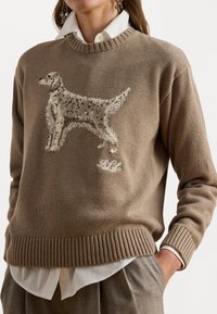 Brun strikkegenser med et teksturert hundedesign i beige, ribbestrikkede mansjetter og kant, med dekorativ broderi under hunden.