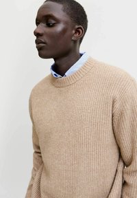Beige knitted sweater with ribbed texture, crew neck, and long sleeves, layered over a light blue collared shirt with white stripes.