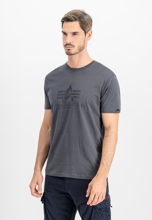 Alpha Industries, RAINBOW REF - Print T-shirt - greyblack