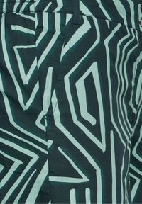 Cecil LOOSE FIT - Broek - grün