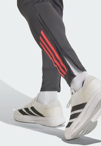 Γκρι αθλητικό παντελόνι με κόκκινες ρίγες, φερμουάρ στις πλαϊνές ραφές και στενή εφαρμογή. Συνδυάζεται με λευκά αθλητικά παπούτσια με μαύρες λεπτομέρειες.