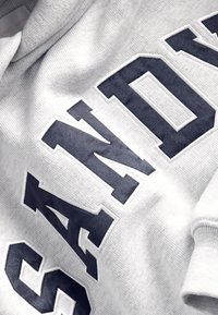 Szara bluza z kapturem z wyraźnymi, ciemnoniebieskimi literami tworzącymi napis "SANDY". Miękka w dotyku z klasycznym krojem kaptura i ściągaczami na rękawach.