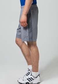 Šedé sportovní kraťasy s elastickým páskem, na boku mají tři tmavé pruhy. Vyrobené z lehkého, hladkého materiálu.