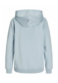 Felpa con cappuccio di colore azzurro, con maniche lunghe, polsini e orlo a costine, caratterizzata da una texture liscia e un cappuccio arrotondato.