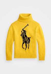 Polo Ralph Lauren BIG PONY WOOL TURTLENECK SWEATER Jumper