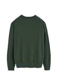 Grüner gestrickter Pullover, Rundhalsausschnitt, lange Ärmel, gerippte Bündchen und Saum, weiche Textur, schlichtes Design ohne sichtbare Muster oder Beschläge.