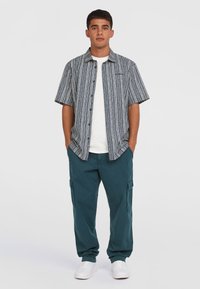 Kortærmet striped skjorte i blå og hvid, parret med teal cargo bukser og hvide sneakers. Modellen står med hænderne i lommerne.